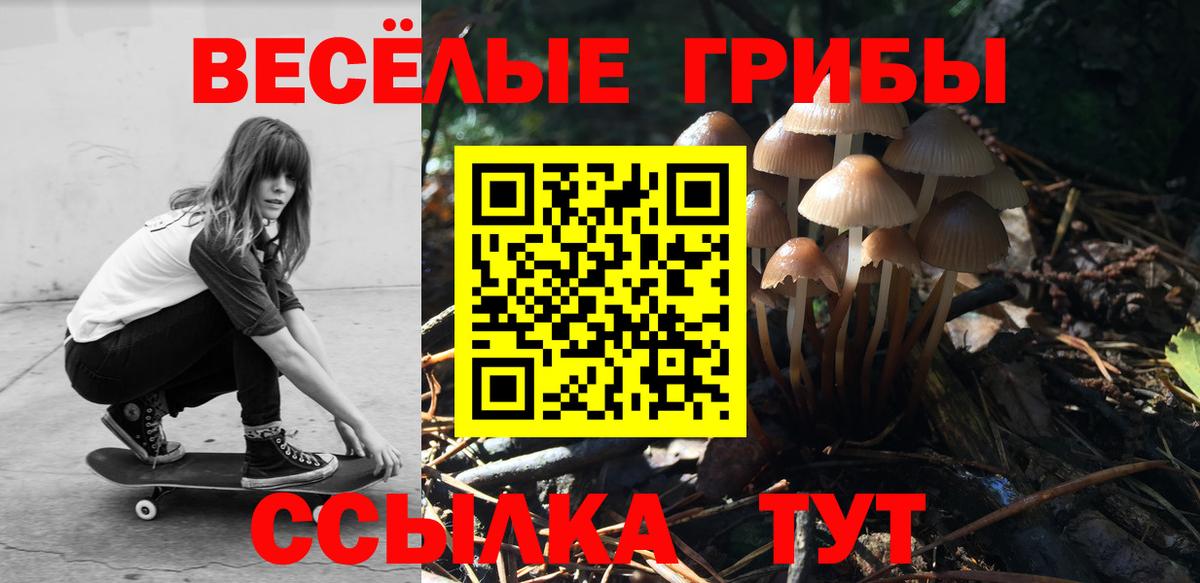 Галлюциногенные грибы прущие грибы  даркнет сайт  Уфа  Галлюциногенные грибы Psilocybine cubensis  Вход с VPN 